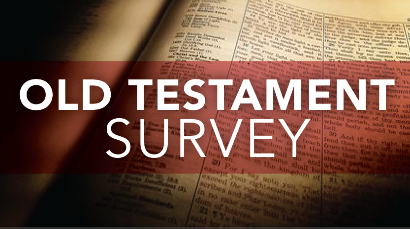 old testament survey 2-5% reflects timely reading of assigned readings reading log due with the final exam (5/7)-5% is based on a power point presentation introducing the content of a biblical . old testament survey 2-5% reflects timely reading of assigned readings reading log due with the final exam (5/7)-5% is based on a power point presentation introducing the content of a biblical .